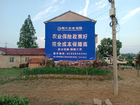 大足墙体广告为何受追捧？