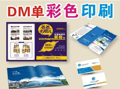 大足单页印刷，色彩搭配简单。